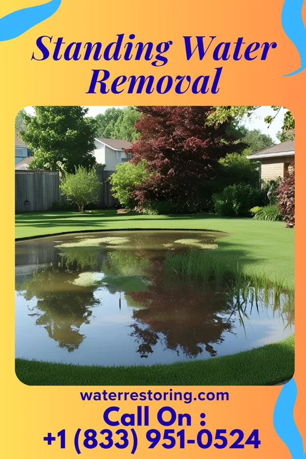 Standing Water Removal in Cassville, MO